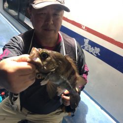 ヤザワ渡船 釣果