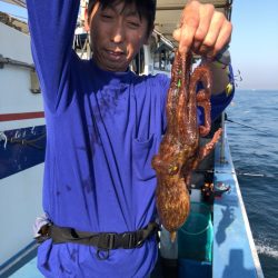 ヤザワ渡船 釣果