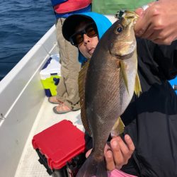 「LaGooN」蒼陽丸 日和号 釣果