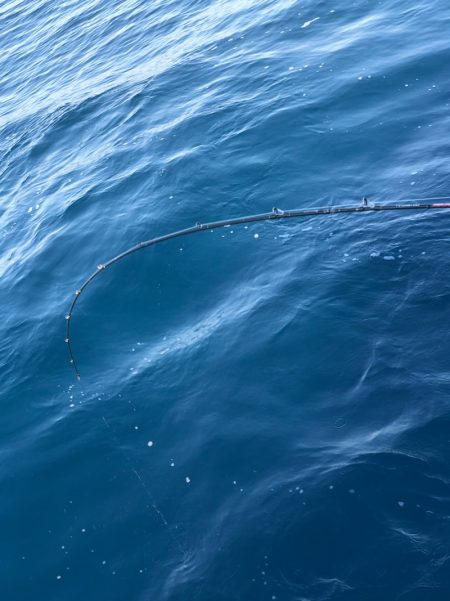 あみや渡船 JIGBOY 釣果