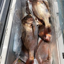 第二八坂丸 釣果