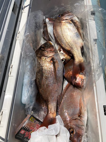 第二八坂丸 釣果