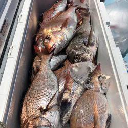 第二八坂丸 釣果