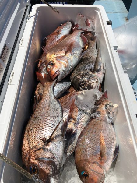 第二八坂丸 釣果