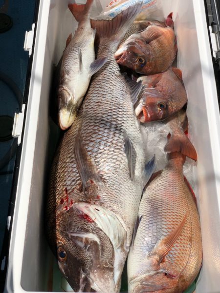 第二八坂丸 釣果