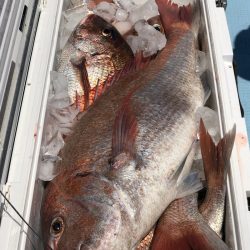 第二八坂丸 釣果