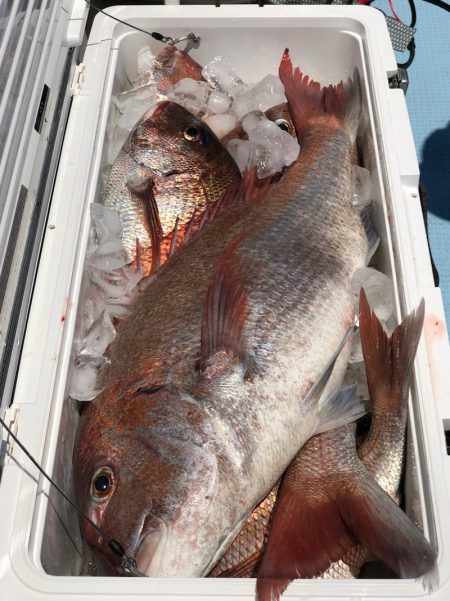 第二八坂丸 釣果