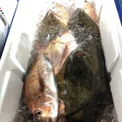 第二八坂丸 釣果