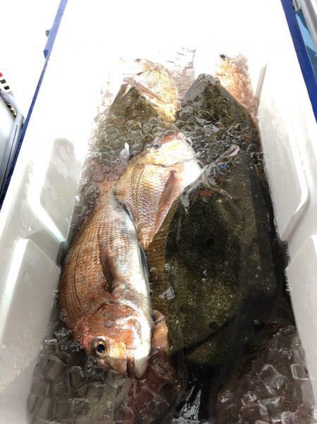 第二八坂丸 釣果