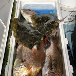 第二八坂丸 釣果