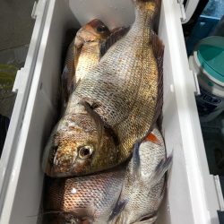 第二八坂丸 釣果