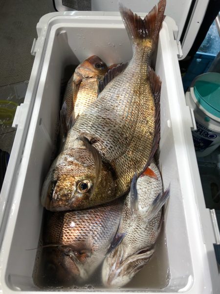 第二八坂丸 釣果