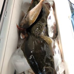 第二八坂丸 釣果