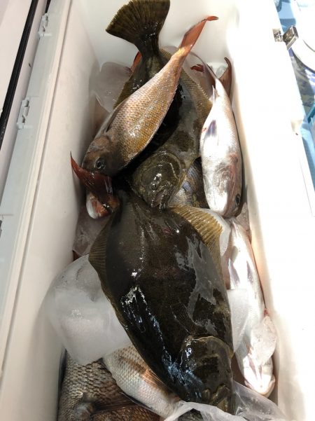 第二八坂丸 釣果