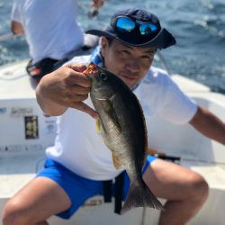 「LaGooN」蒼陽丸 日和号 釣果