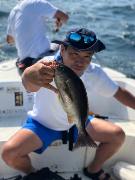 「LaGooN」蒼陽丸 日和号 釣果