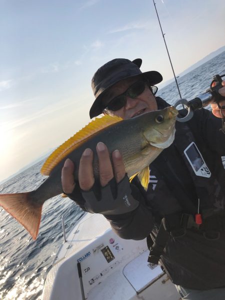 「LaGooN」蒼陽丸 日和号 釣果