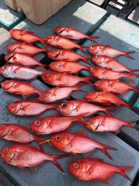 ＴＡＲＯＭＡＲＵ 釣果