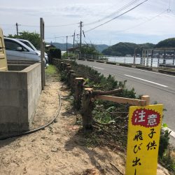 「LaGooN」蒼陽丸 日和号 釣果
