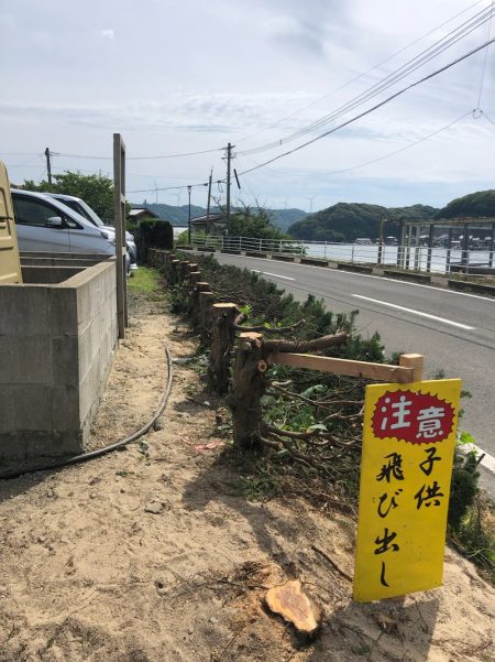 「LaGooN」蒼陽丸 日和号 釣果