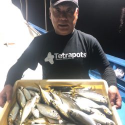 ヤザワ渡船 釣果
