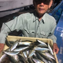 ヤザワ渡船 釣果
