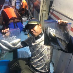 ヤザワ渡船 釣果