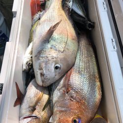 第二八坂丸 釣果