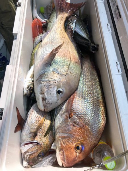 第二八坂丸 釣果