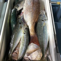 第二八坂丸 釣果