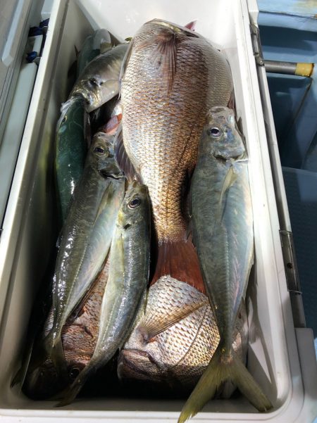 第二八坂丸 釣果