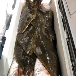 第二八坂丸 釣果