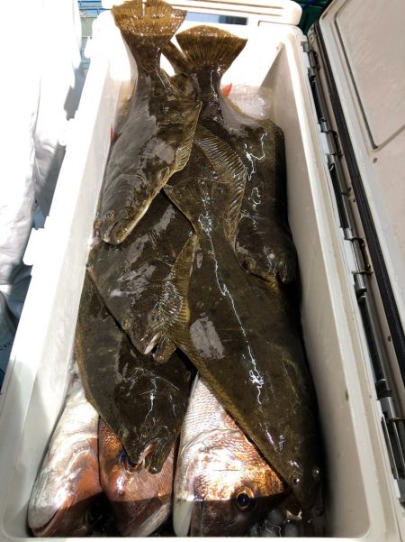 第二八坂丸 釣果