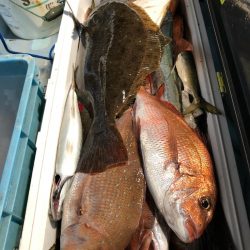 第二八坂丸 釣果