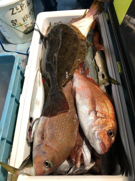 第二八坂丸 釣果