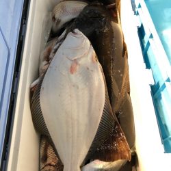 第二八坂丸 釣果