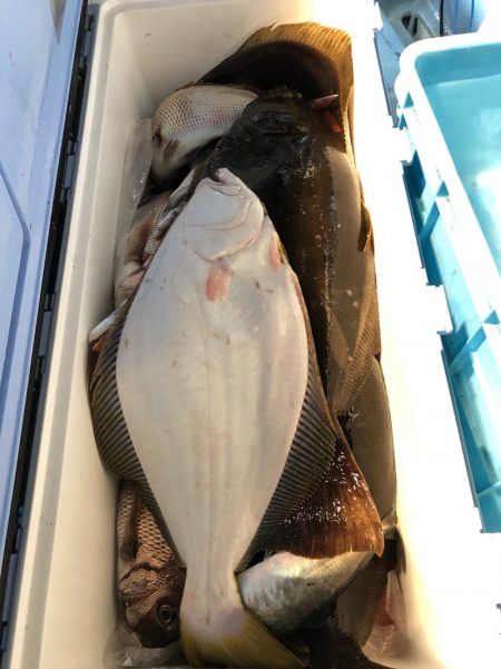 第二八坂丸 釣果