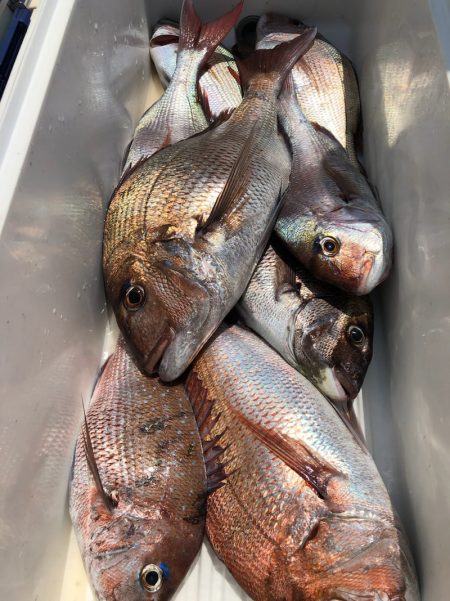 第二八坂丸 釣果