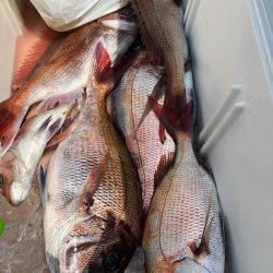 第二八坂丸 釣果