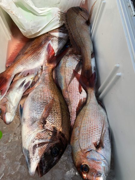 第二八坂丸 釣果