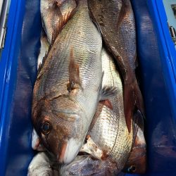 第二八坂丸 釣果