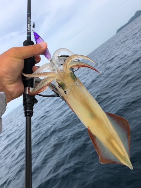 「LaGooN」蒼陽丸 日和号 釣果