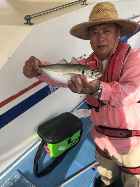 ヤザワ渡船 釣果