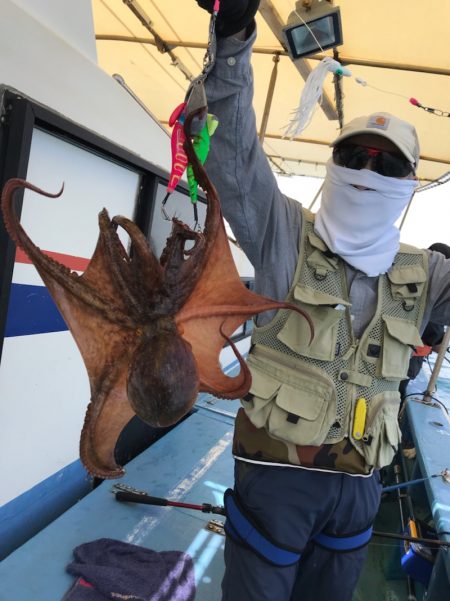 ヤザワ渡船 釣果