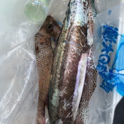 みやけ丸 釣果