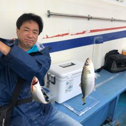 ヤザワ渡船 釣果