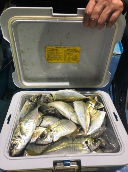 ヤザワ渡船 釣果