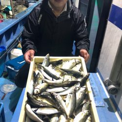 ヤザワ渡船 釣果