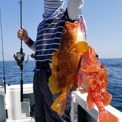 アマテラス 釣果