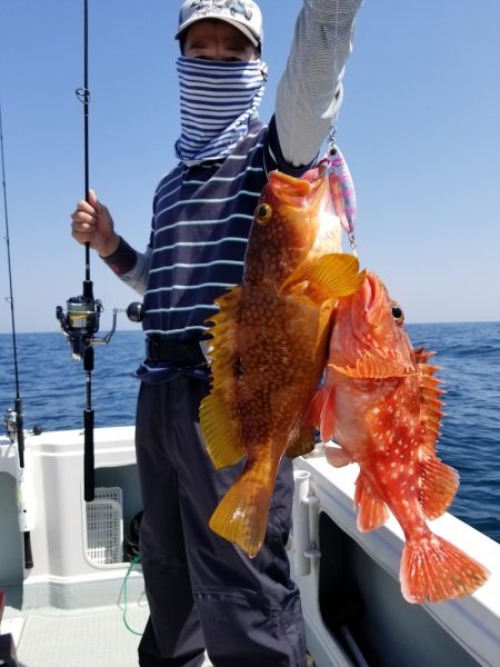 アマテラス 釣果